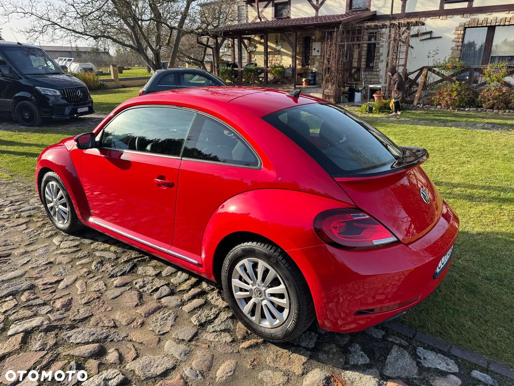 Volkswagen Beetle - 6