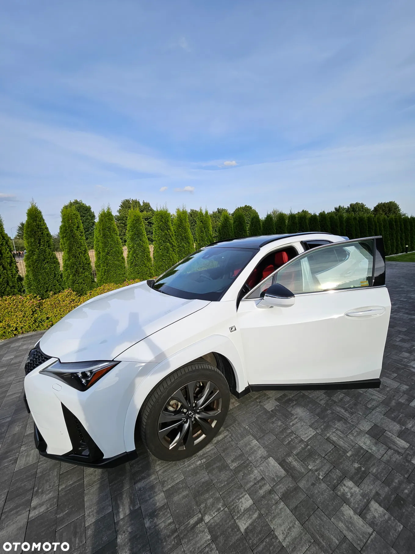 Lexus UX 250h GPF F Sport 2WD - 17