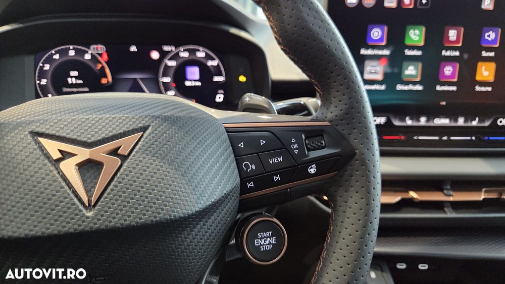 Cupra Terramar - 13