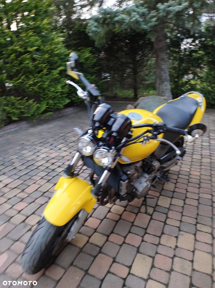 Honda Hornet