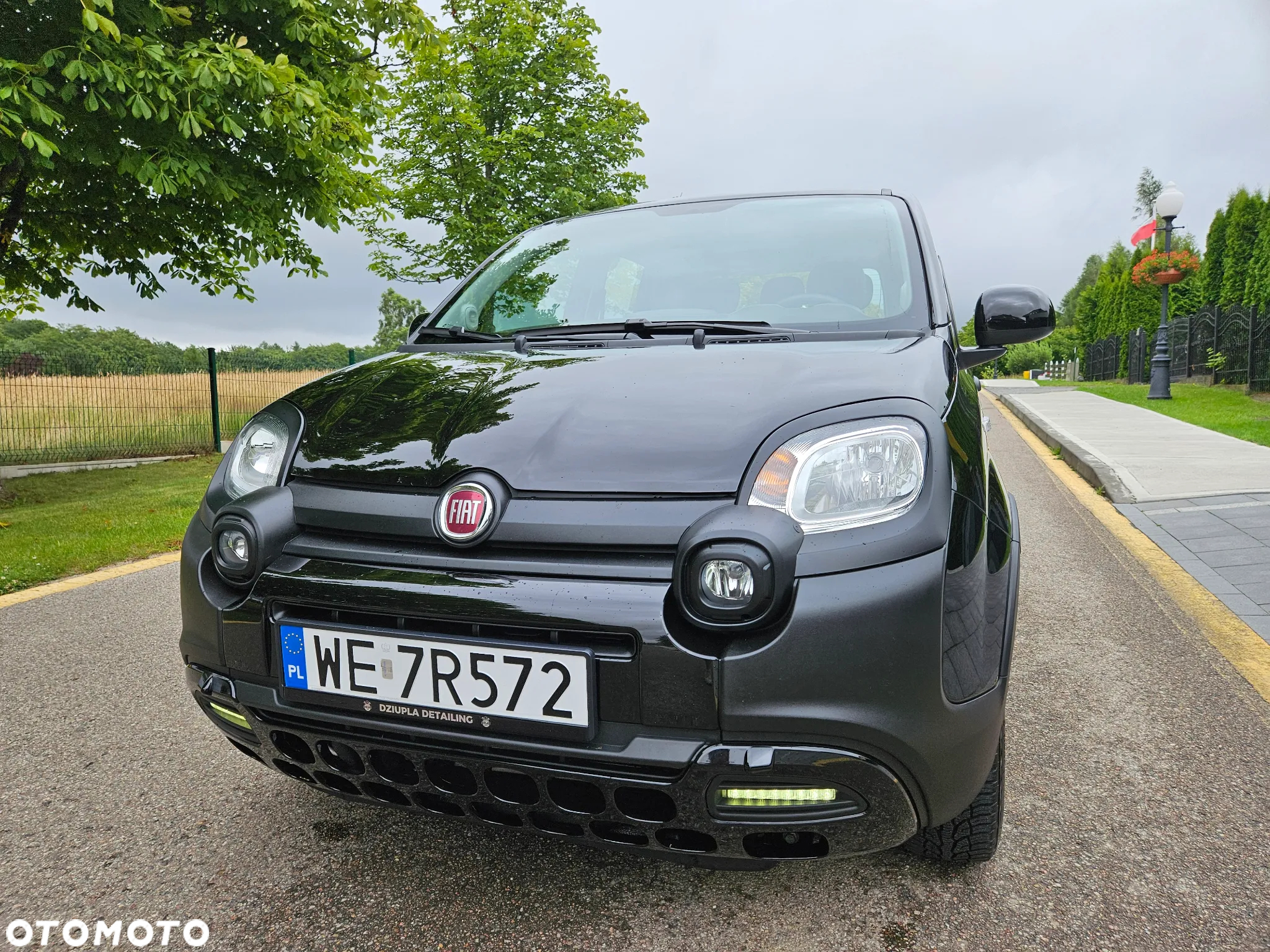 Fiat Panda 1.0 Hybrid - 3