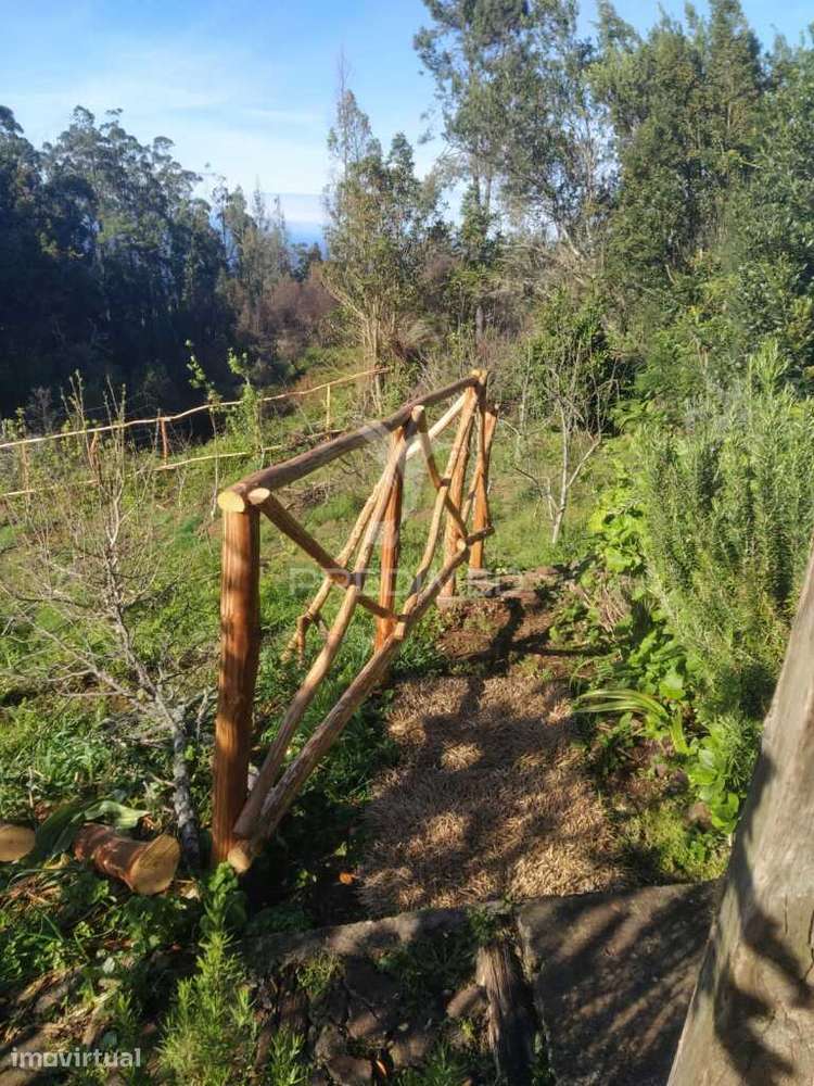 TERRENO c/ Arrecadação/ Habitação - Grande imagem: 2/15
