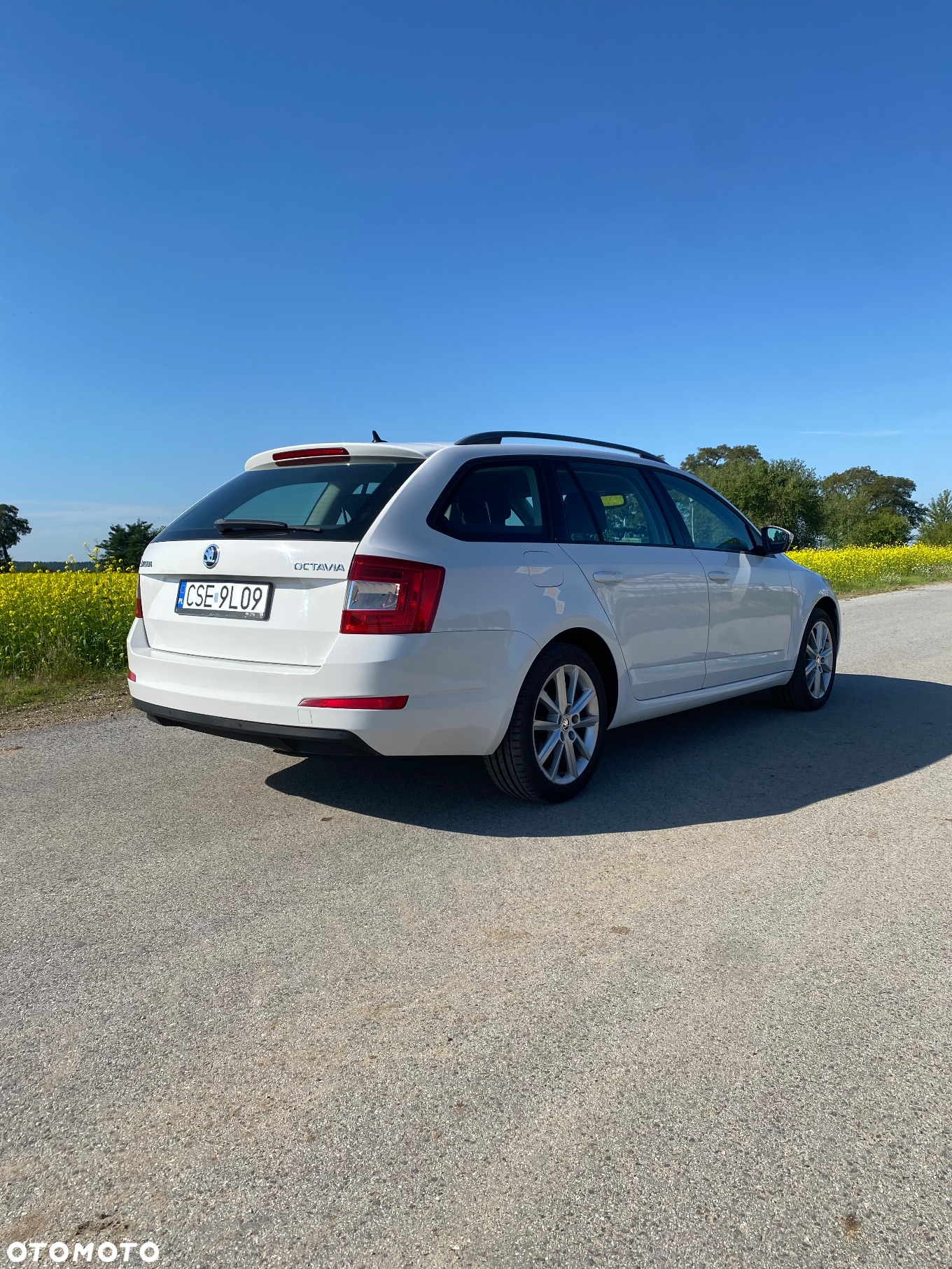 Skoda Octavia 1.4 TSI Elegance - 9