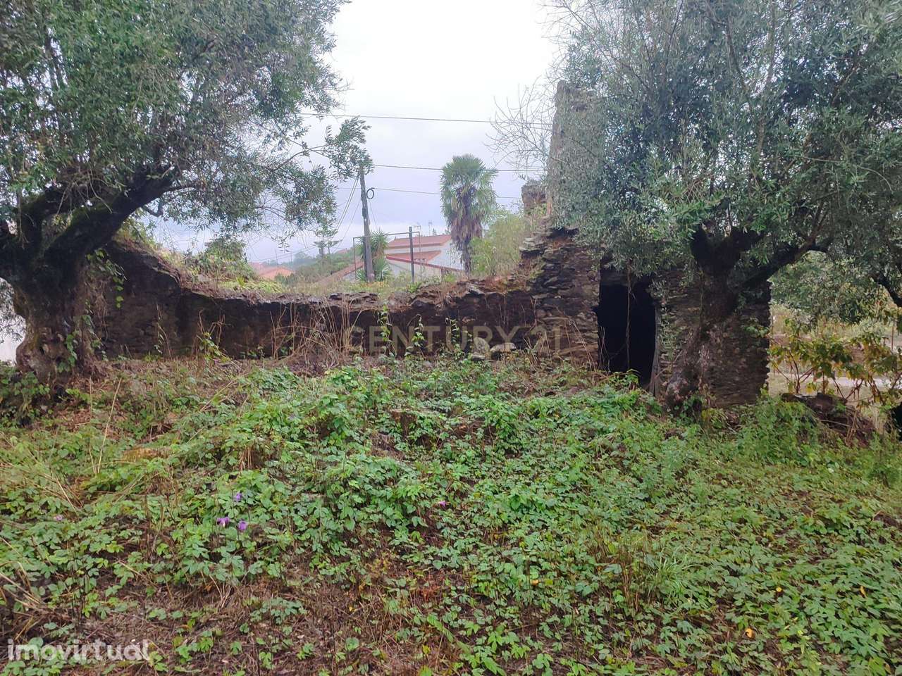 Moradia em ruínas em terreno misto, urbano e rústico, em Vendas do Rij - Grande imagem: 2/15