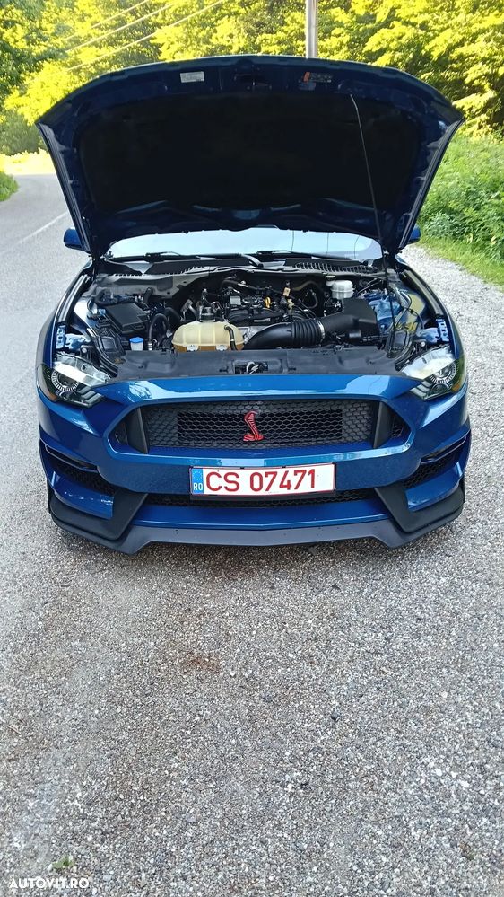 Ford Mustang 2.3 Eco Boost Aut. - 19
