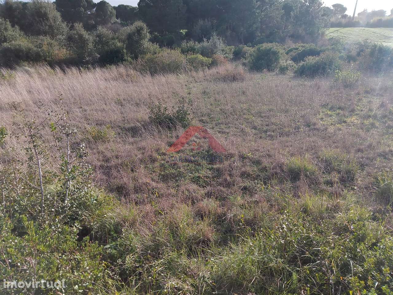 Terreno Rústico  Venda em Vila Chã de Ourique,Cartaxo - Grande imagem: 3/7