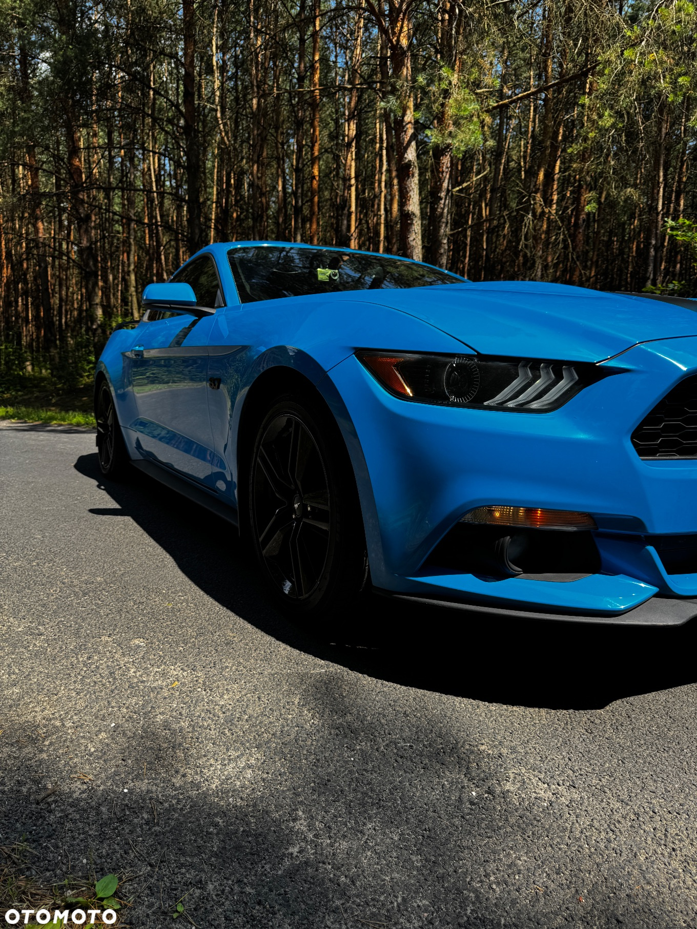Ford Mustang - 5