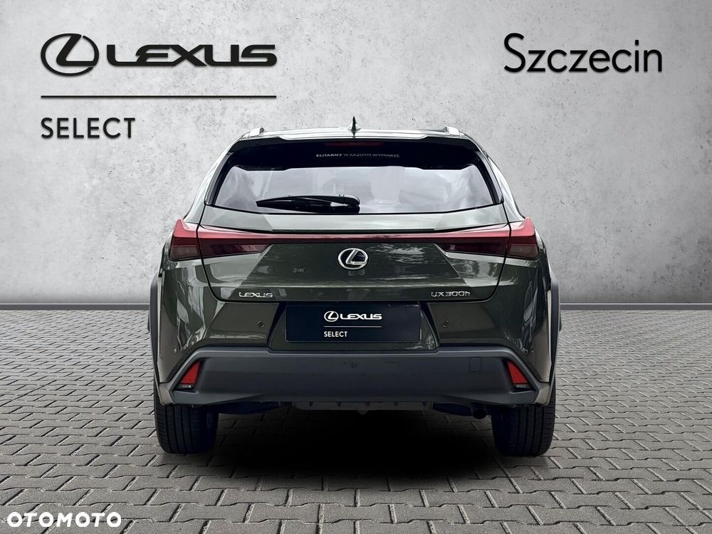 Lexus UX 300h Business - 4