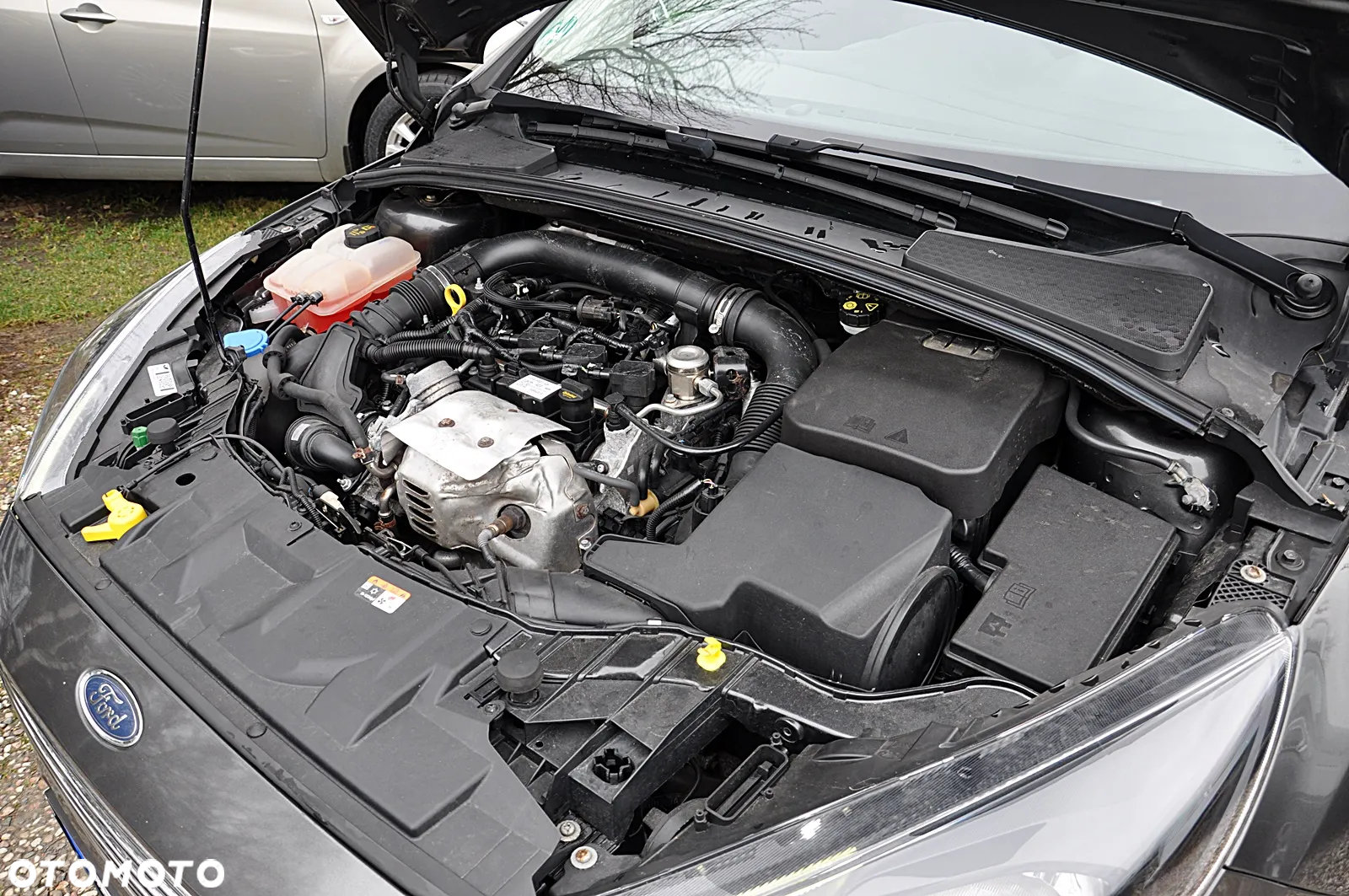 Ford Focus - 28