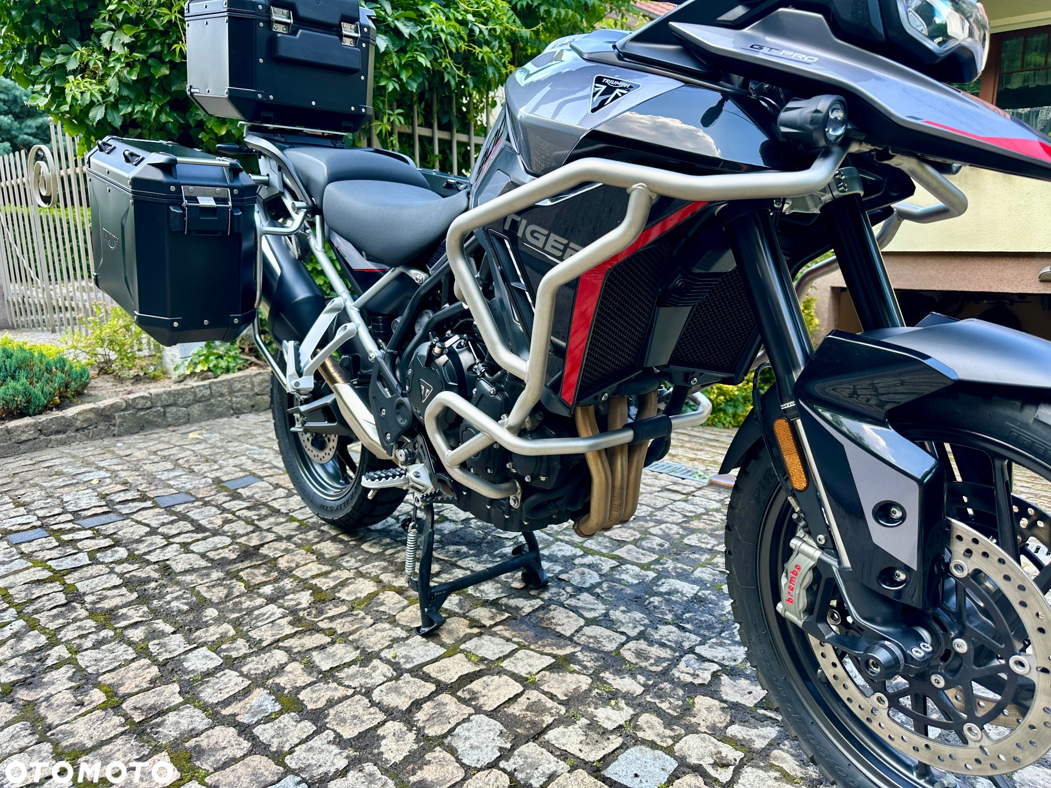 Triumph Tiger - 9