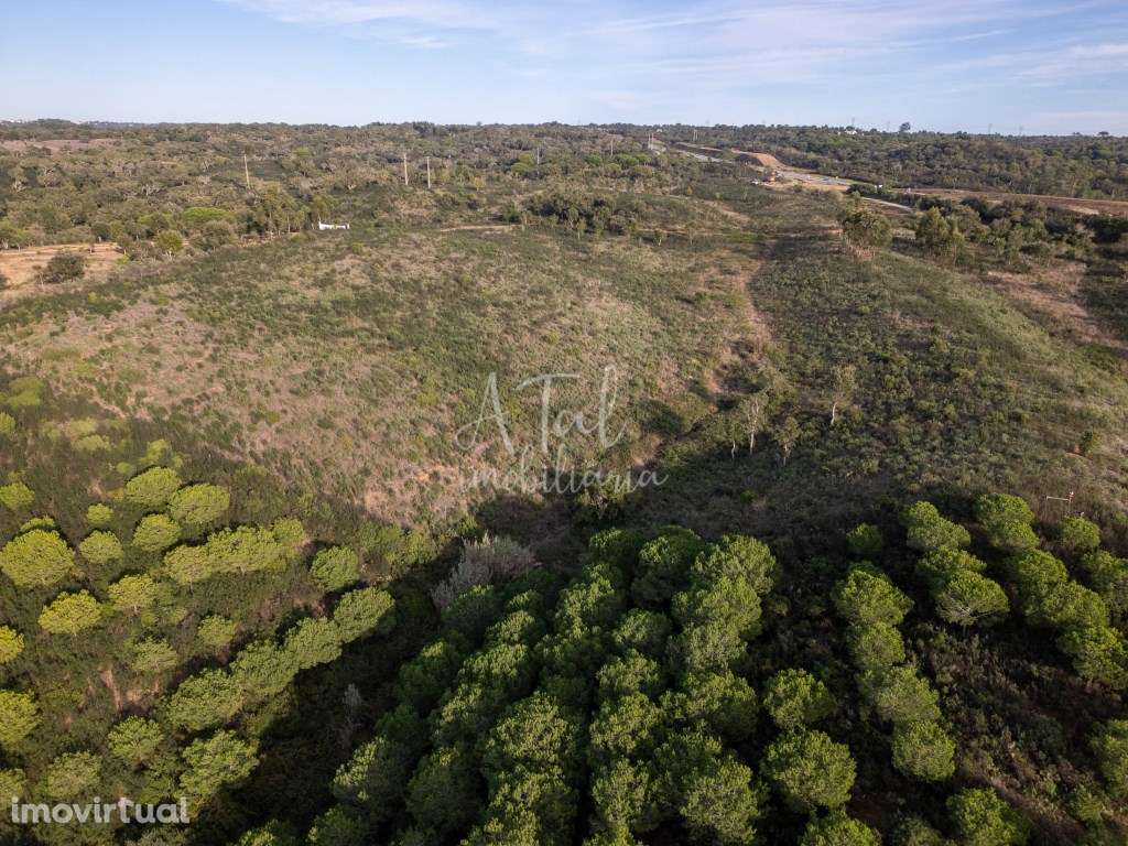 Terreno 8,9h em Santa Cruz - Grande imagem: 3/6