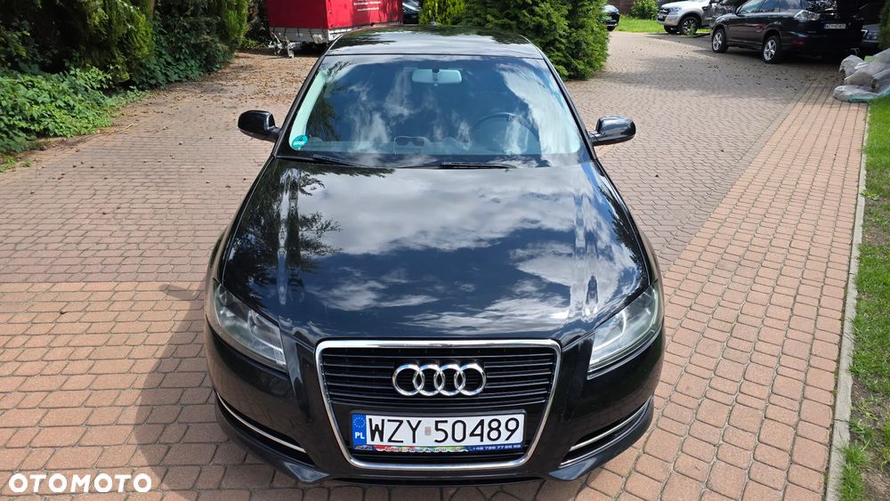 Audi A3 3-drzwiowe 1.6 TDI DPF Attraction - 11
