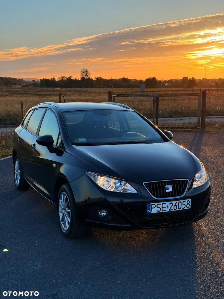 Seat Ibiza 2011 photo 2