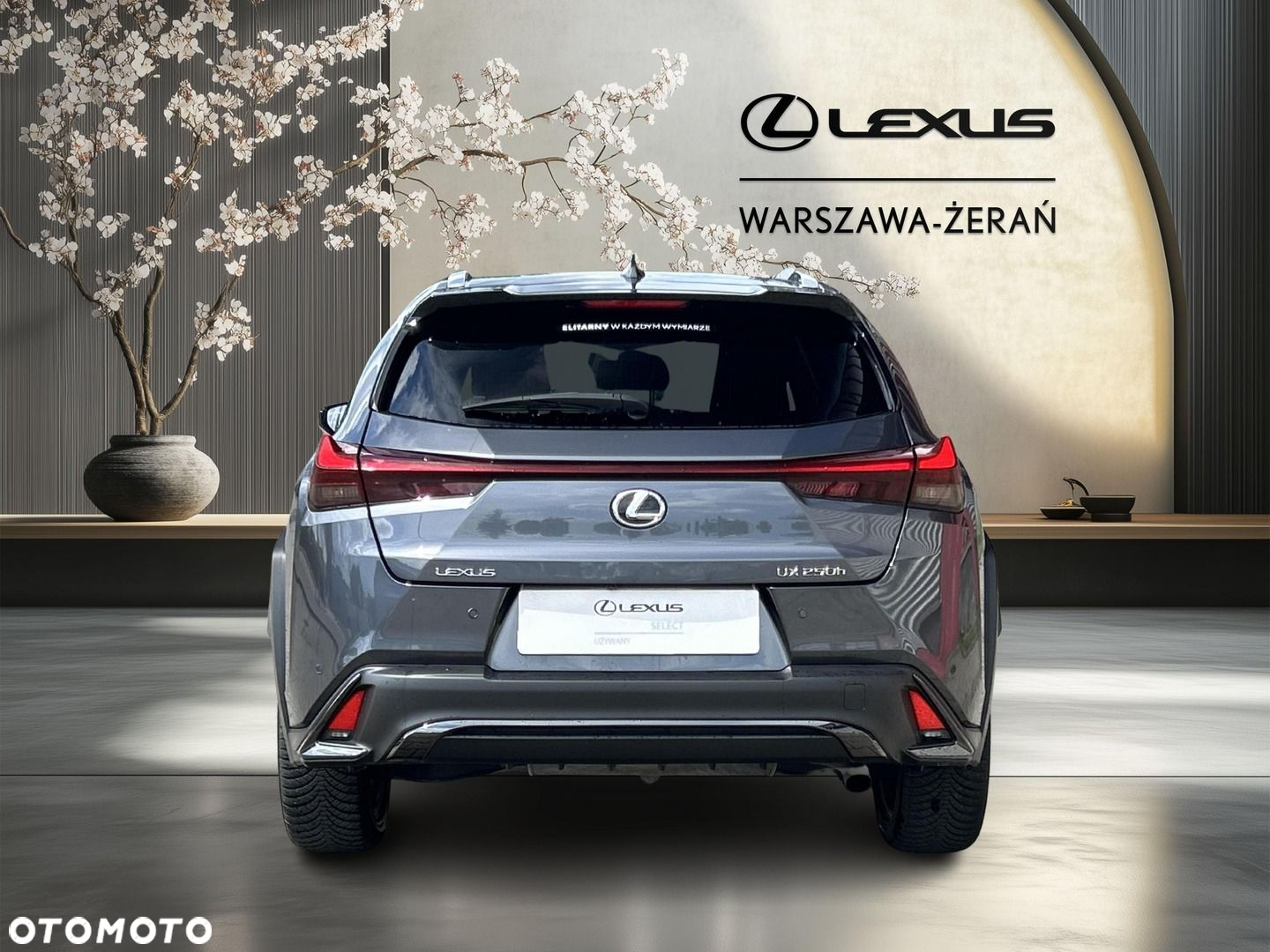 Lexus UX 250h GPF F Sport Design 2WD - 6