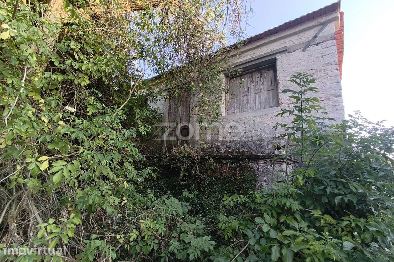Moradia para reconstrução com terreno de 2500 m2, Lombomeão, Vagos - Grande imagem: 3/15