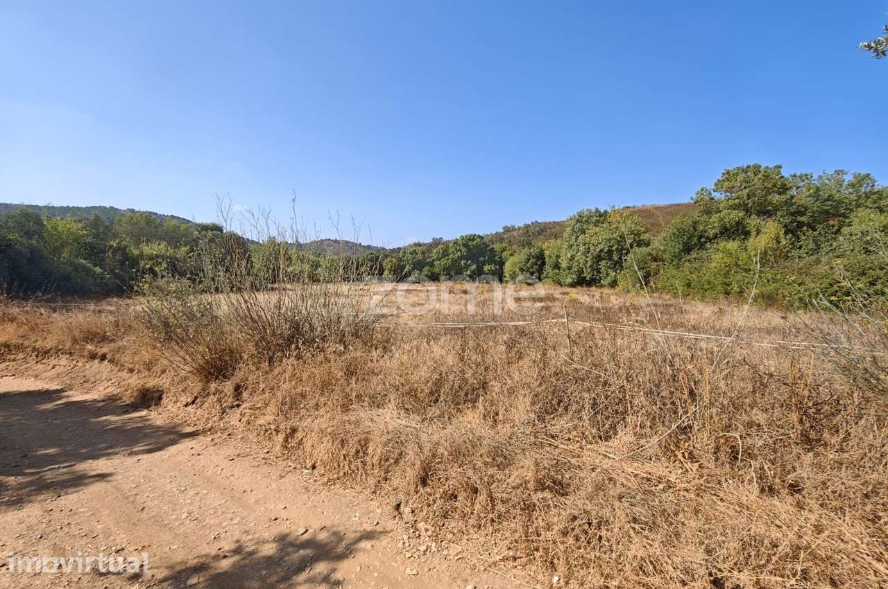Terreno Rústico c/ 7.440m2 e água, em Corte Peral, São Marcos da Se... - Grande imagem: 5/23