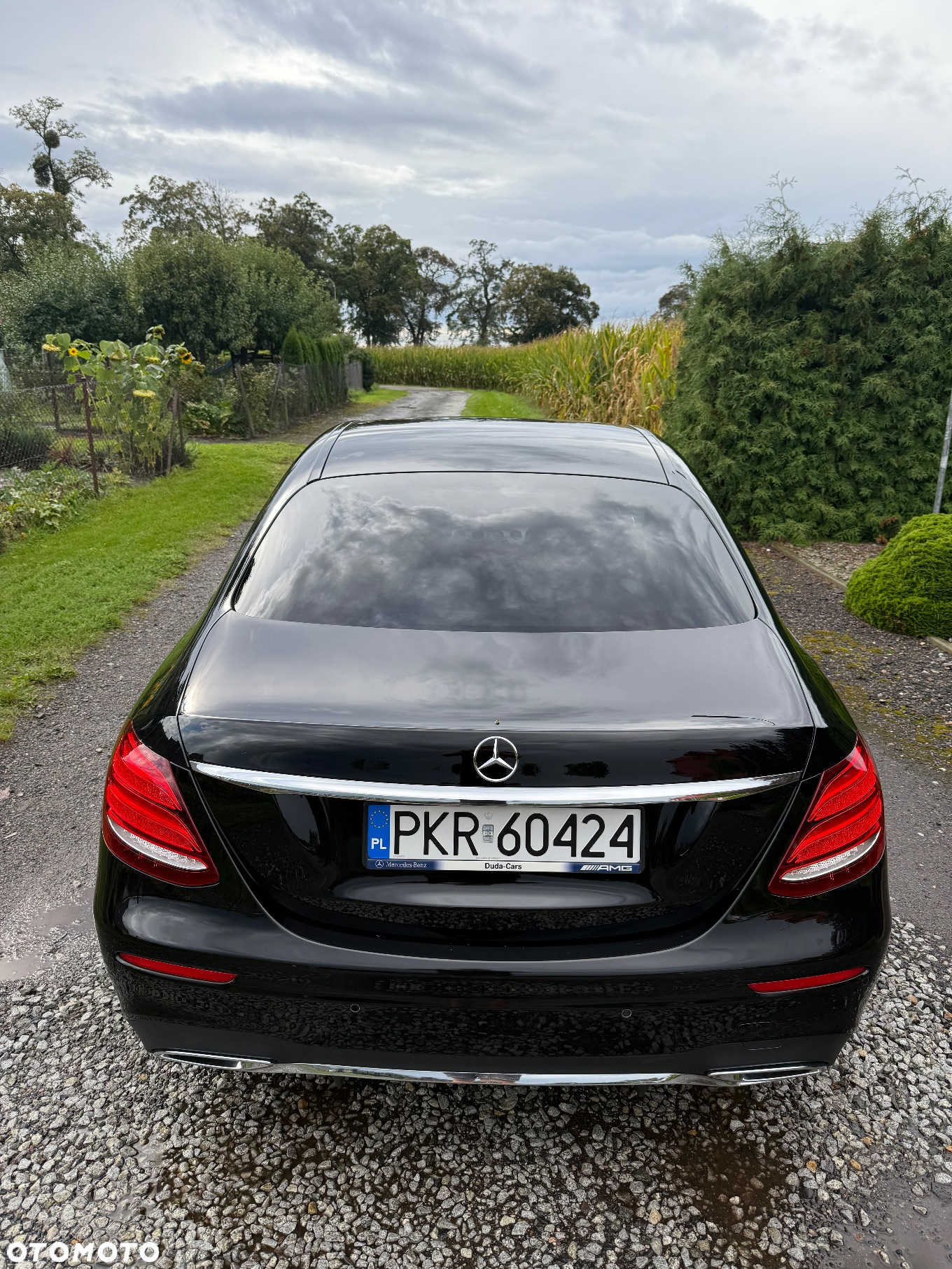 Mercedes-Benz Klasa E 220 d AMG - 7