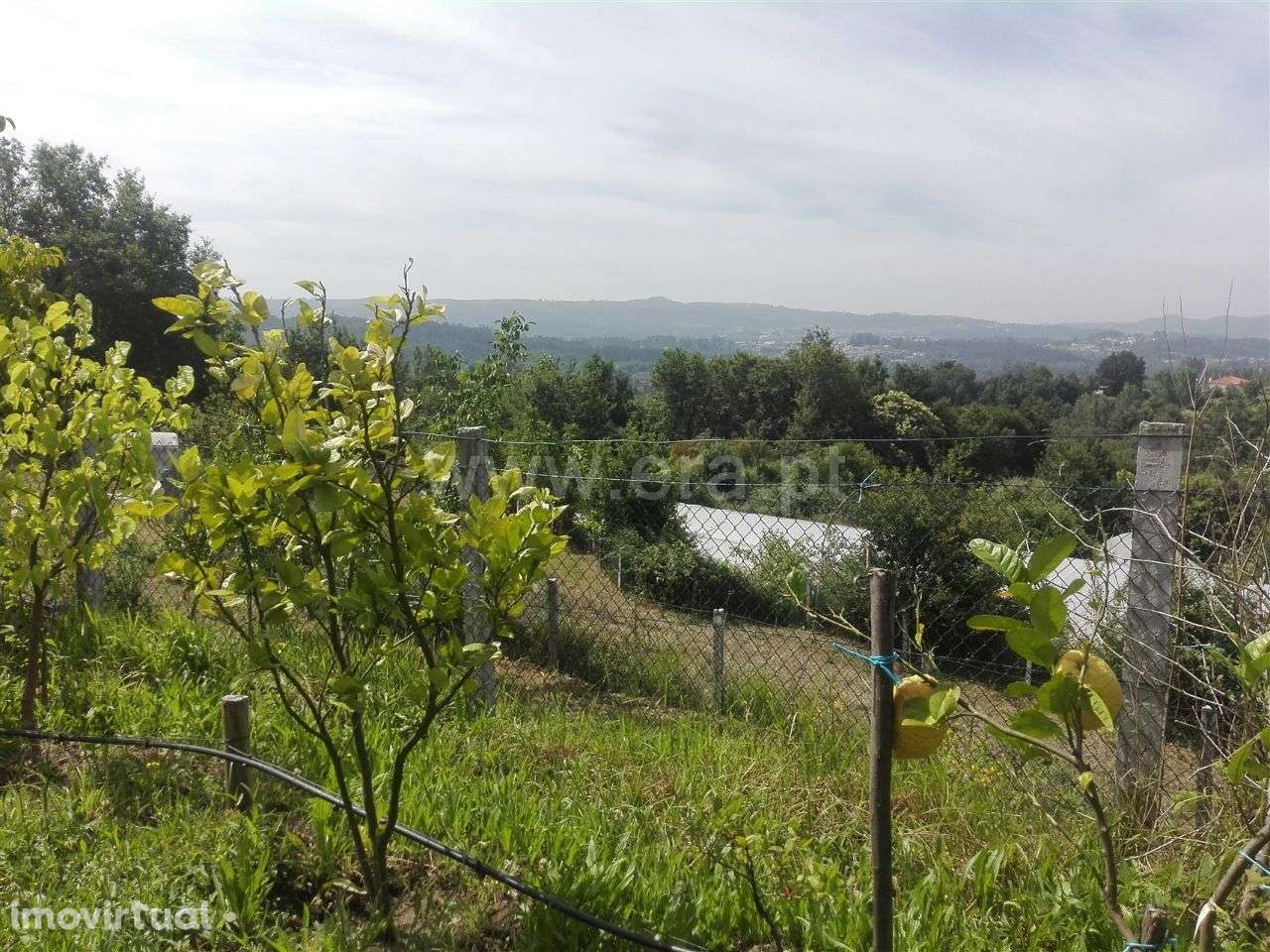 Quinta - Grande imagem: 3/20