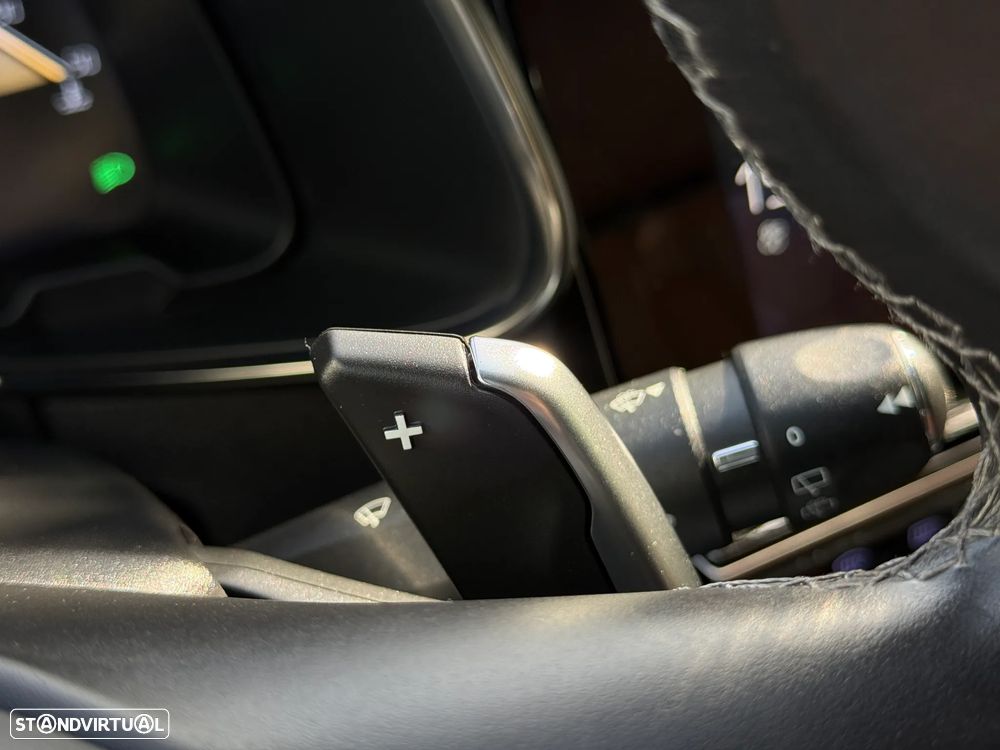 DS DS7 Crossback - 25