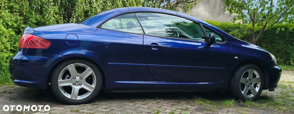 Peugeot 307 CC 2.0 - 14
