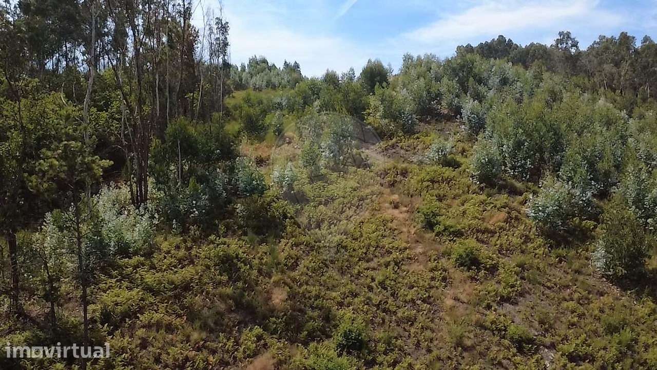 Terreno  para venda - Grande imagem: 4/5