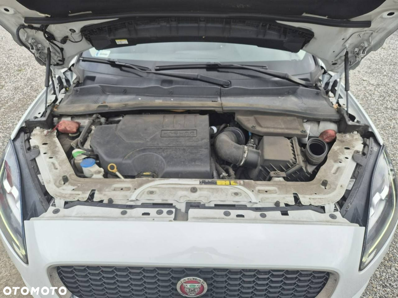Jaguar E-Pace - 9