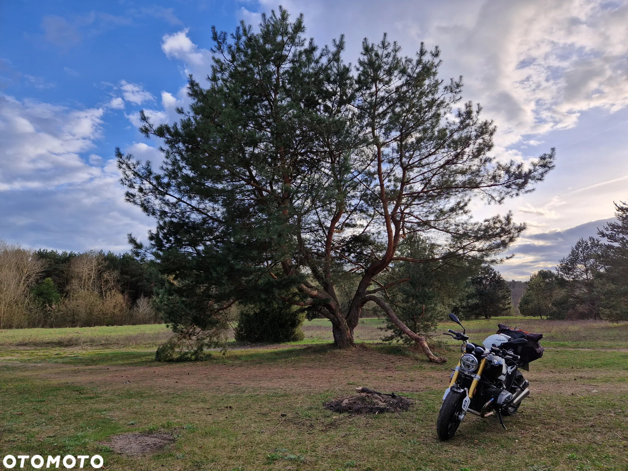 BMW R - 14