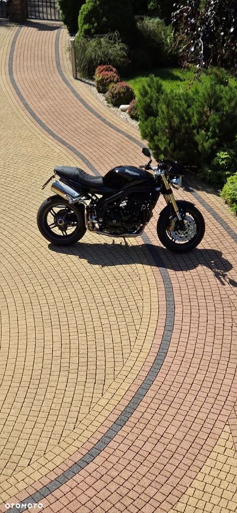 Triumph Speed Triple - 9