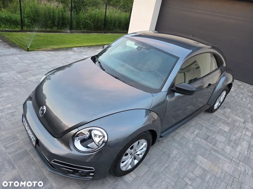 Volkswagen Beetle - 12