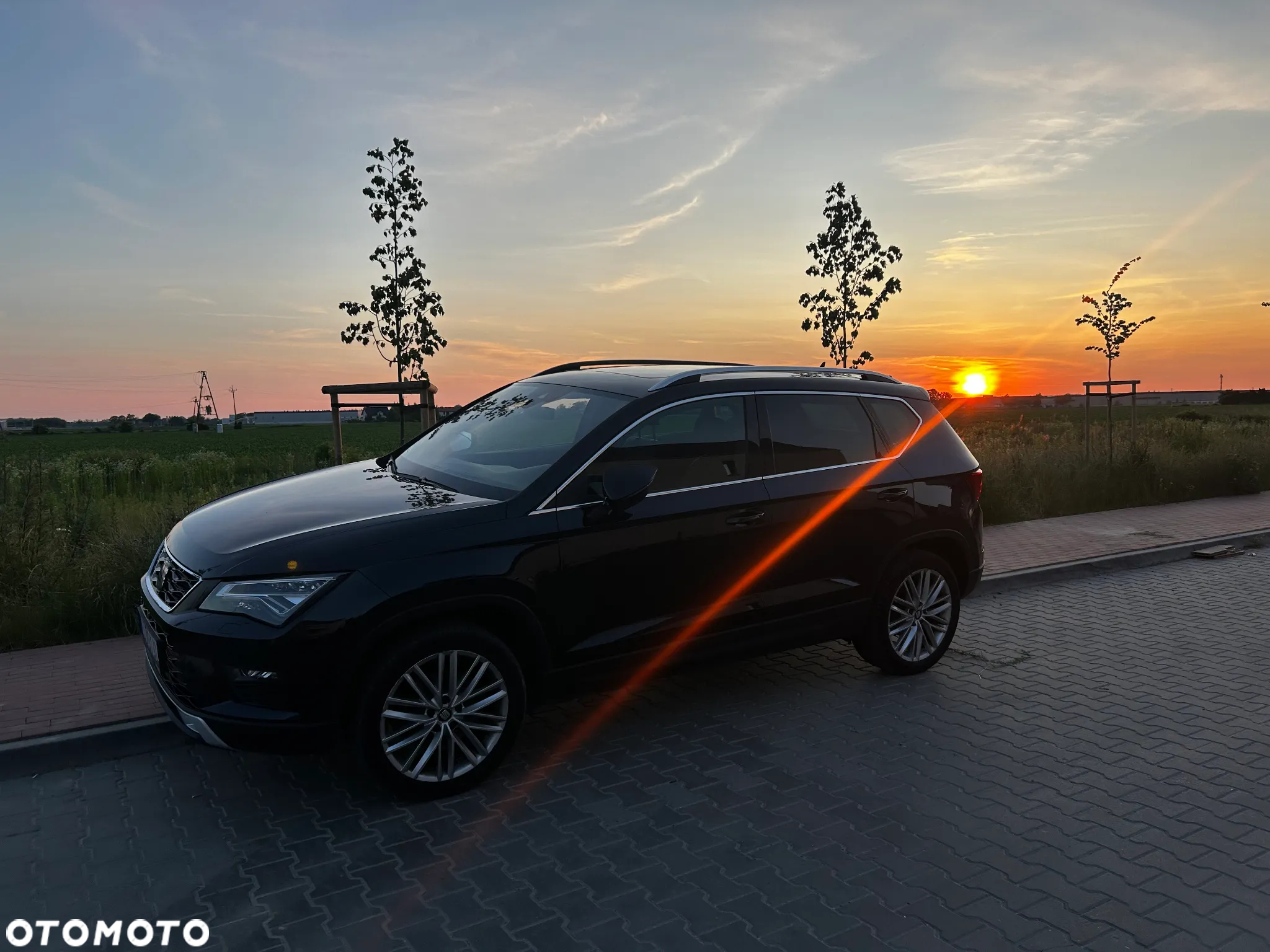 Seat Ateca 1.5 Eco TSI Xcellence S&S DSG - 8