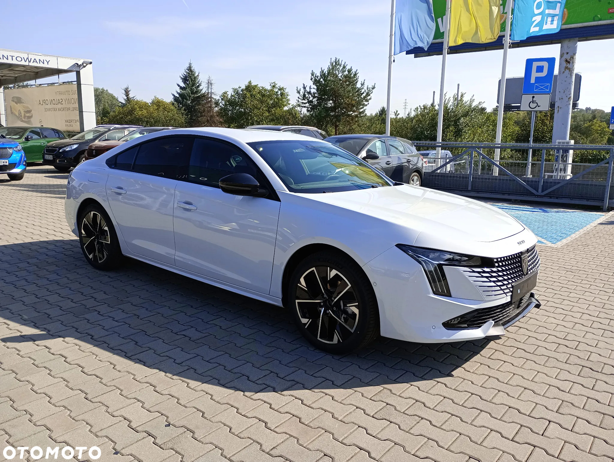 Peugeot 508 1.5 BlueHDi GT S&S EAT8 - 4