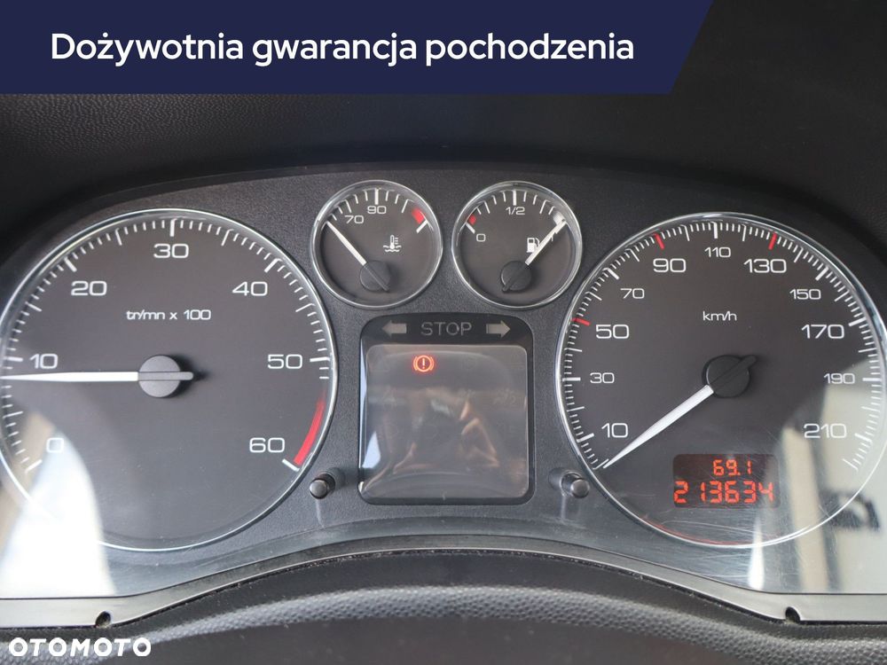 Peugeot 307 - 13