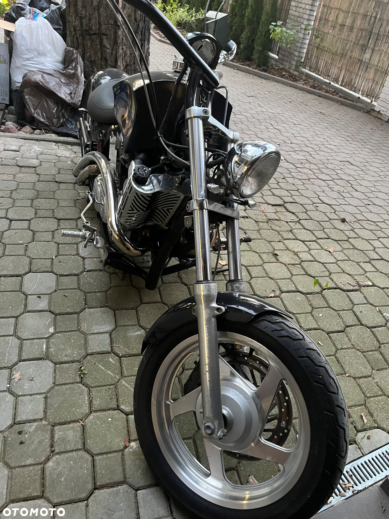 Honda Inny - 8