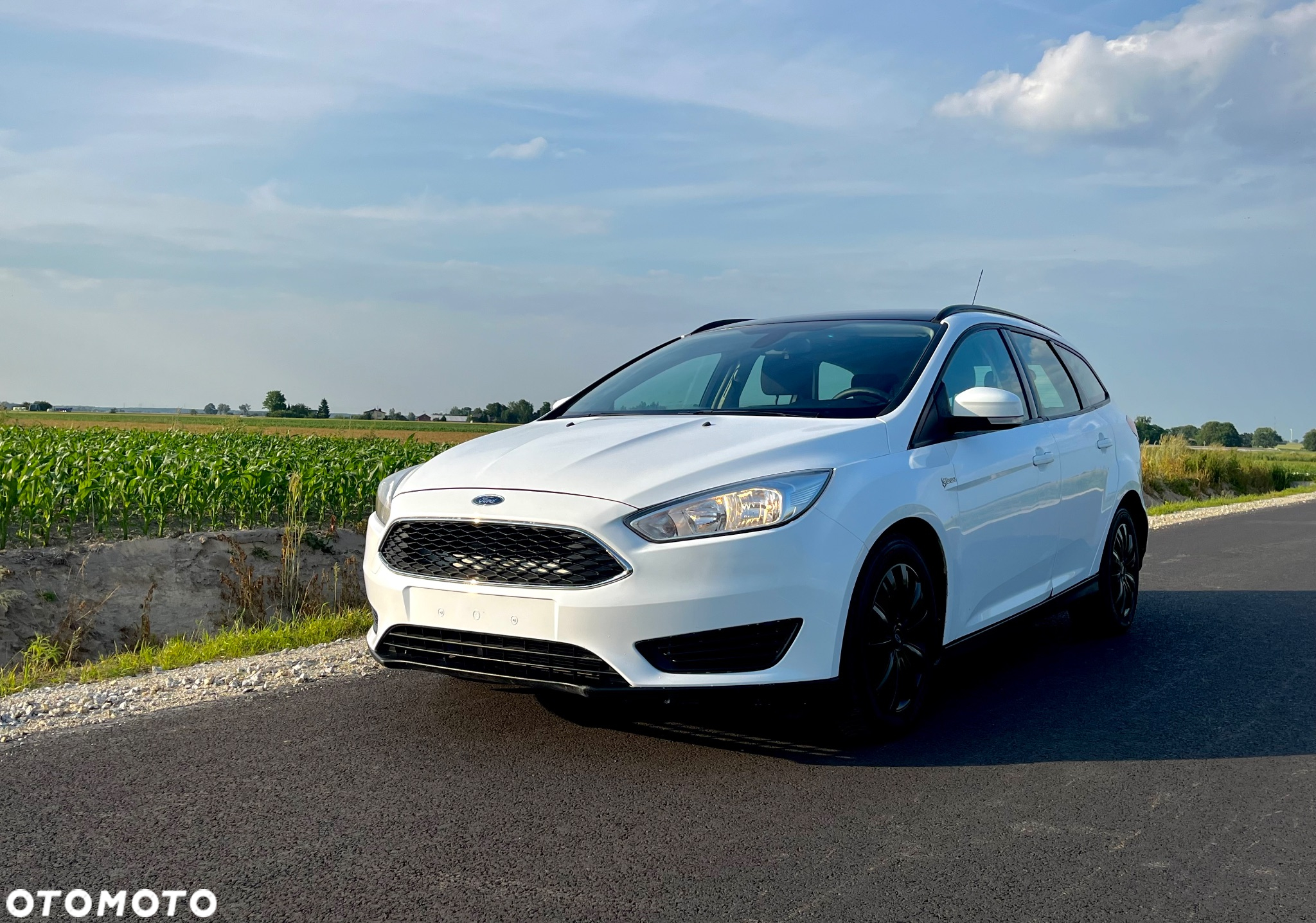 Ford Focus 1.6 TDCi DPF Start-Stopp-System SYNC Edition - 9