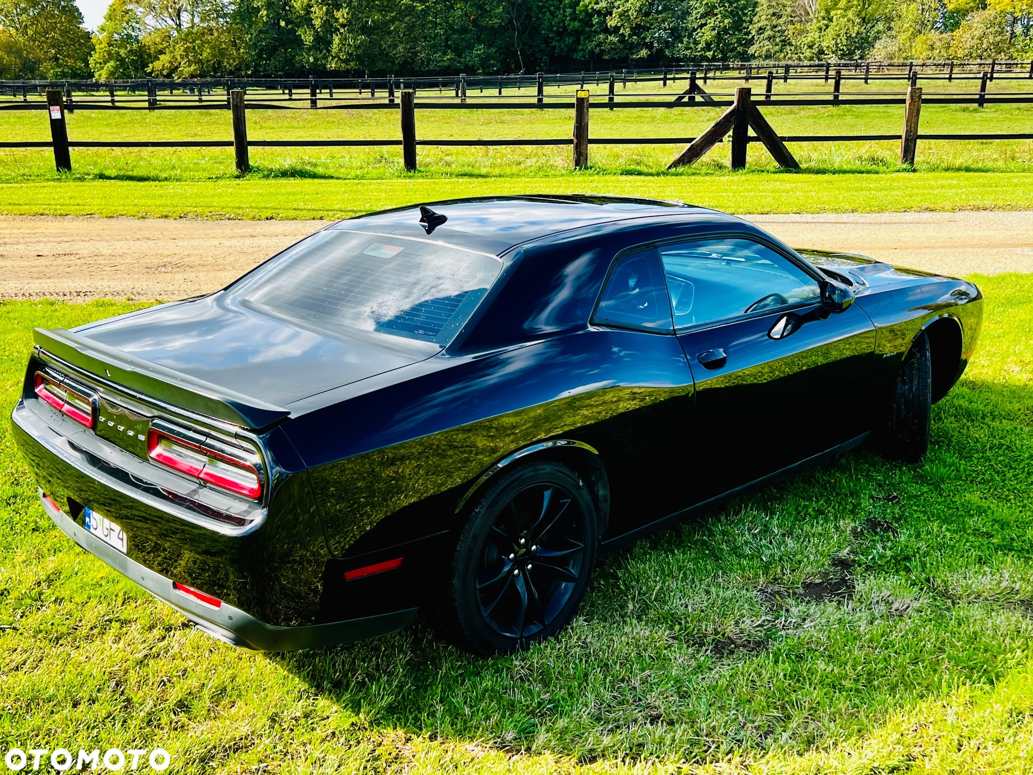 Dodge Challenger Automatik R/T Plus - 15