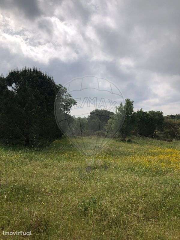 Terreno  para venda - Grande imagem: 4/5