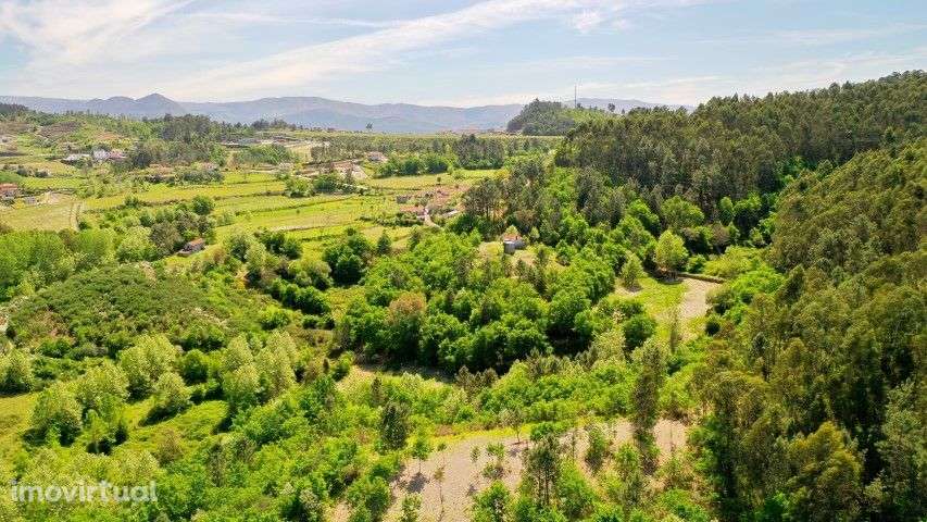 Quinta com moradia em pedra e terreno com 3 hectares em Celorico Basto - Grande imagem: 3/12
