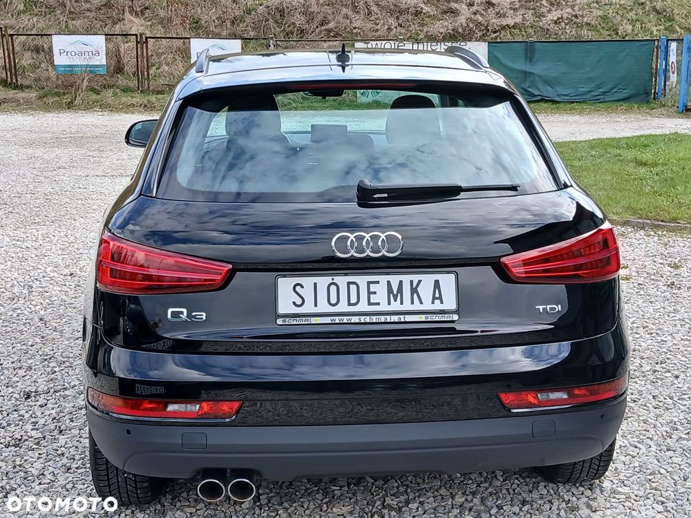 Audi Q3 - 19
