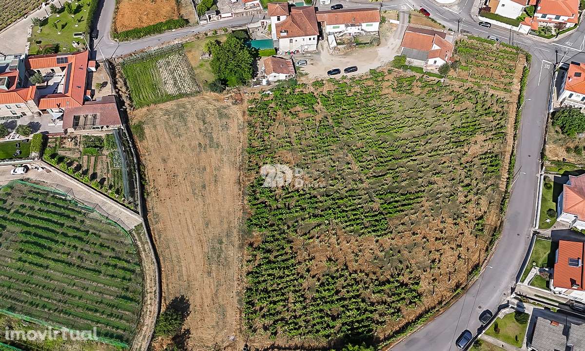 Quinta 13.000m² - Antas - Grande imagem: 4/11