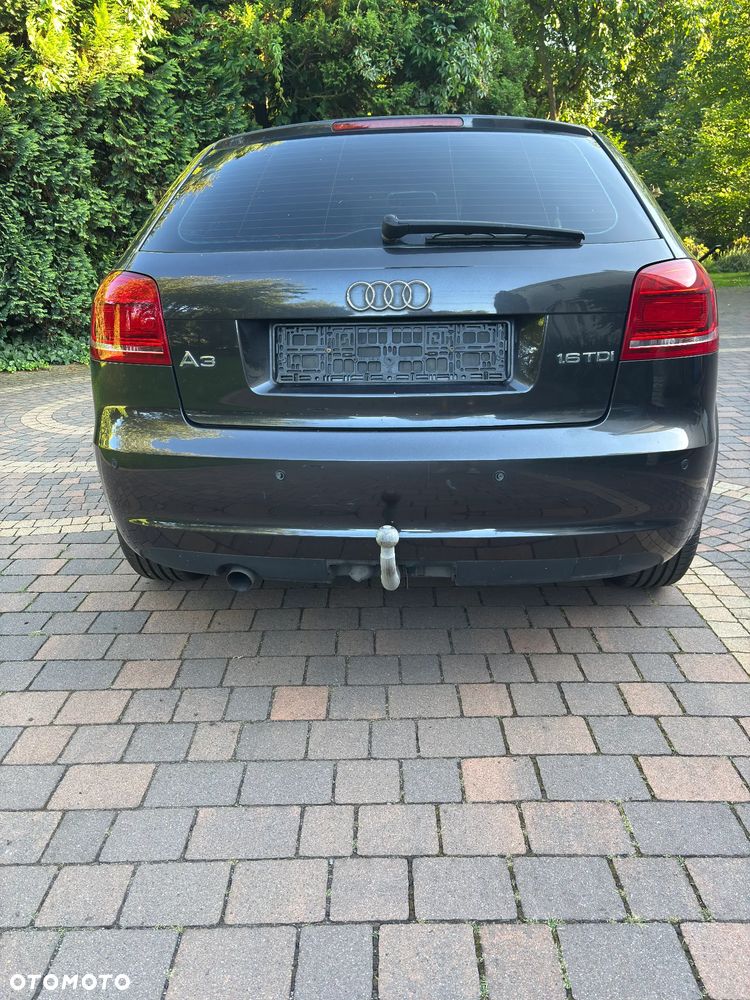 Audi A3 3-drzwiowe 1.6 TDI DPF Attraction - 2