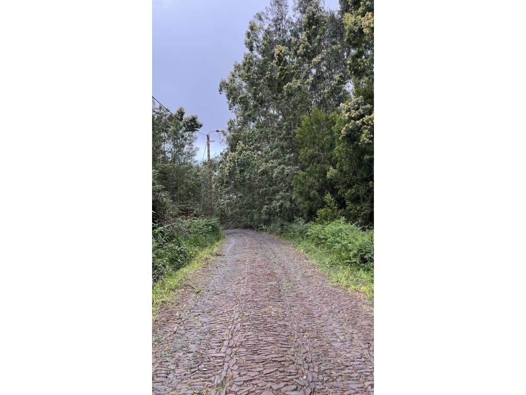 Lote do terreno no Funchal para agricultura - Grande imagem: 2/7