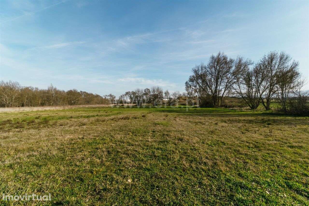 Terreno / Fundão, Alcaria - Grande imagem: 2/17