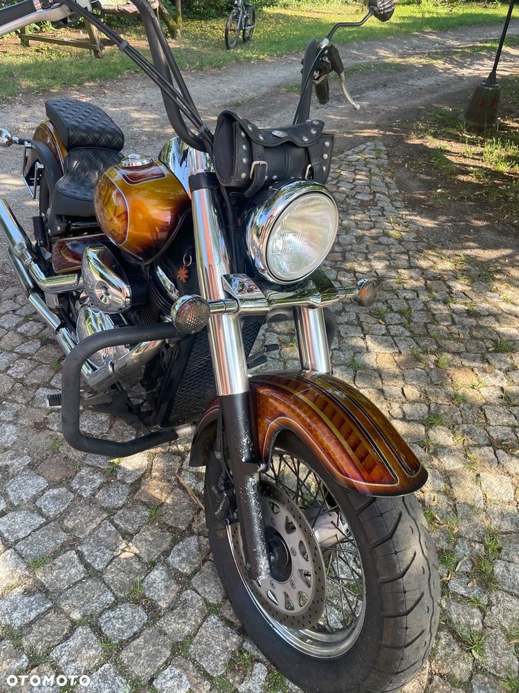 Suzuki VL 800 Volusia - 2