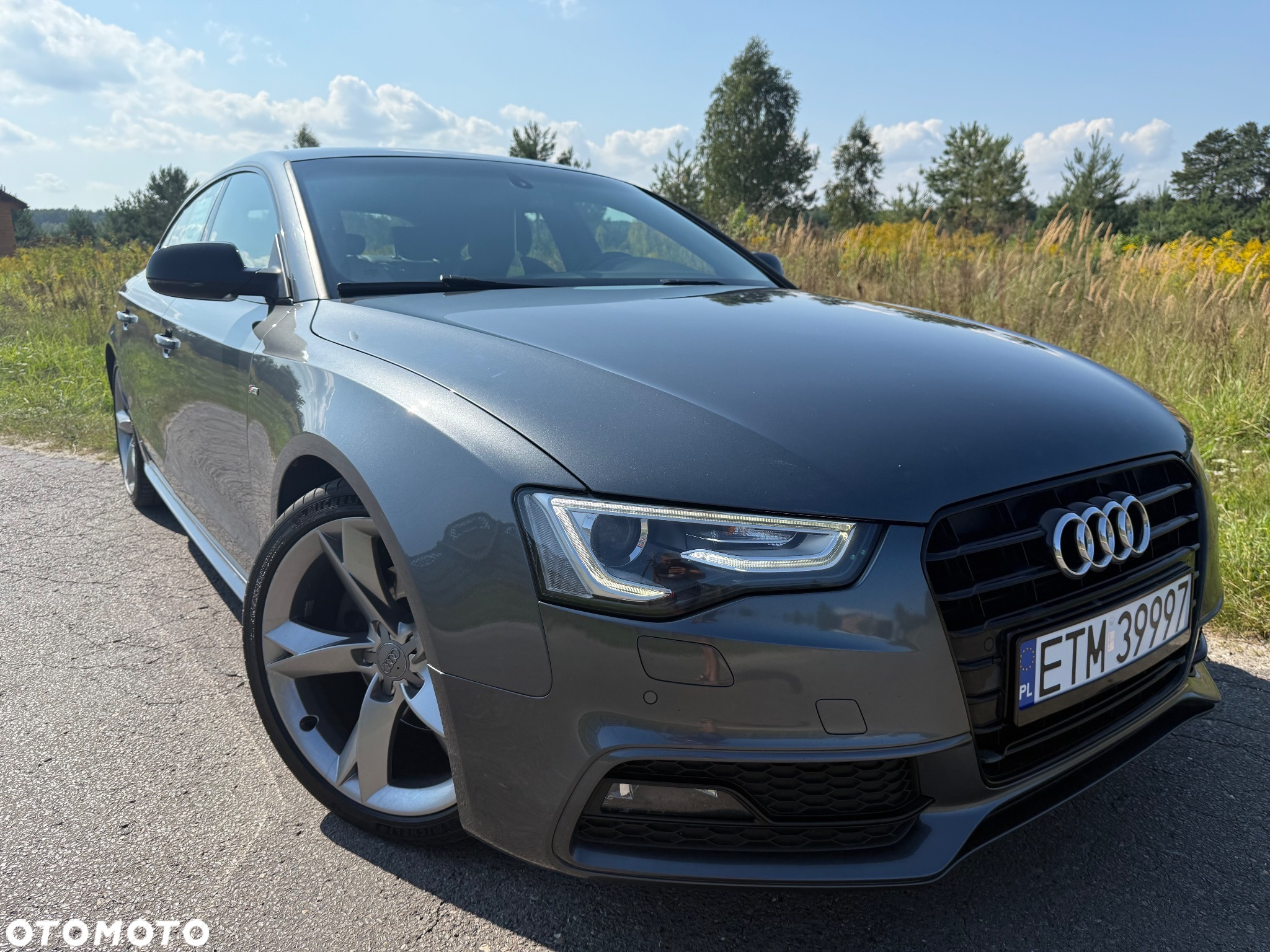 Audi A5 Sportback 2.0 TDI (clean diesel) DPF multitronic - 7