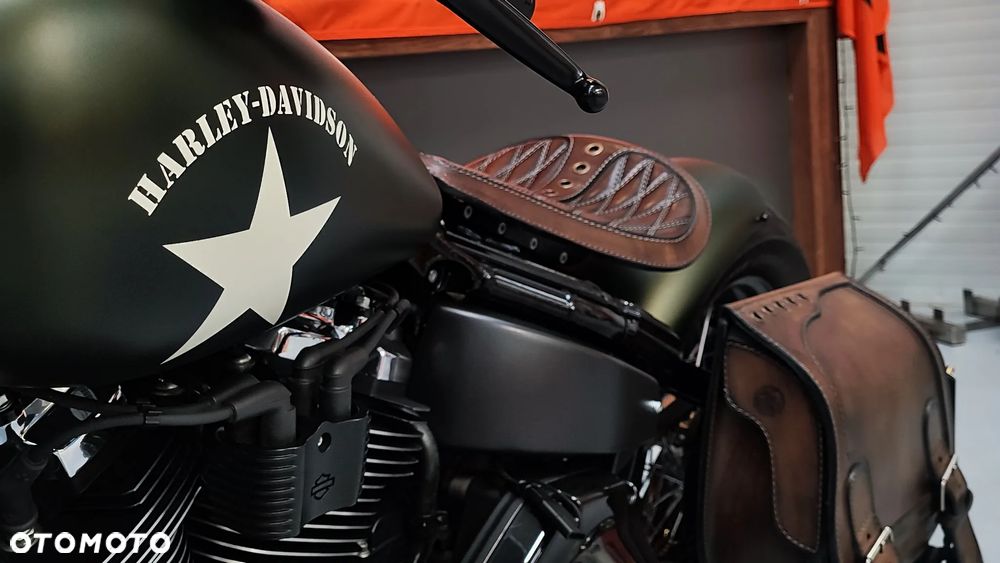 Harley-Davidson Softail - 19