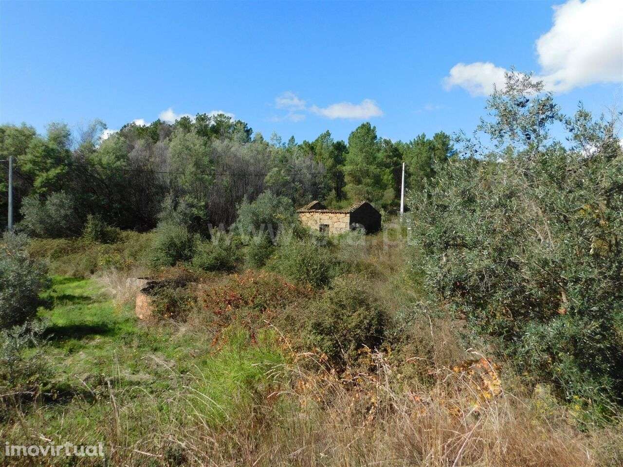 Quintinha / Fundão, Vale Prazeres - Grande imagem: 4/9