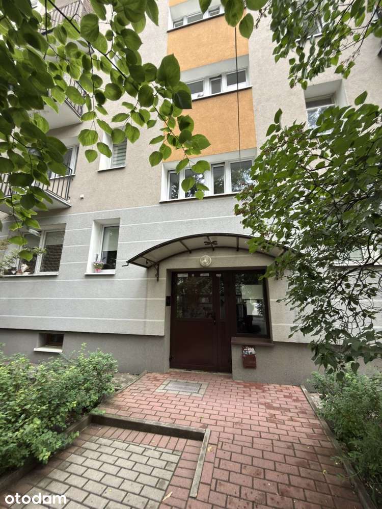Zielona ochota, m3 na sprzedaż