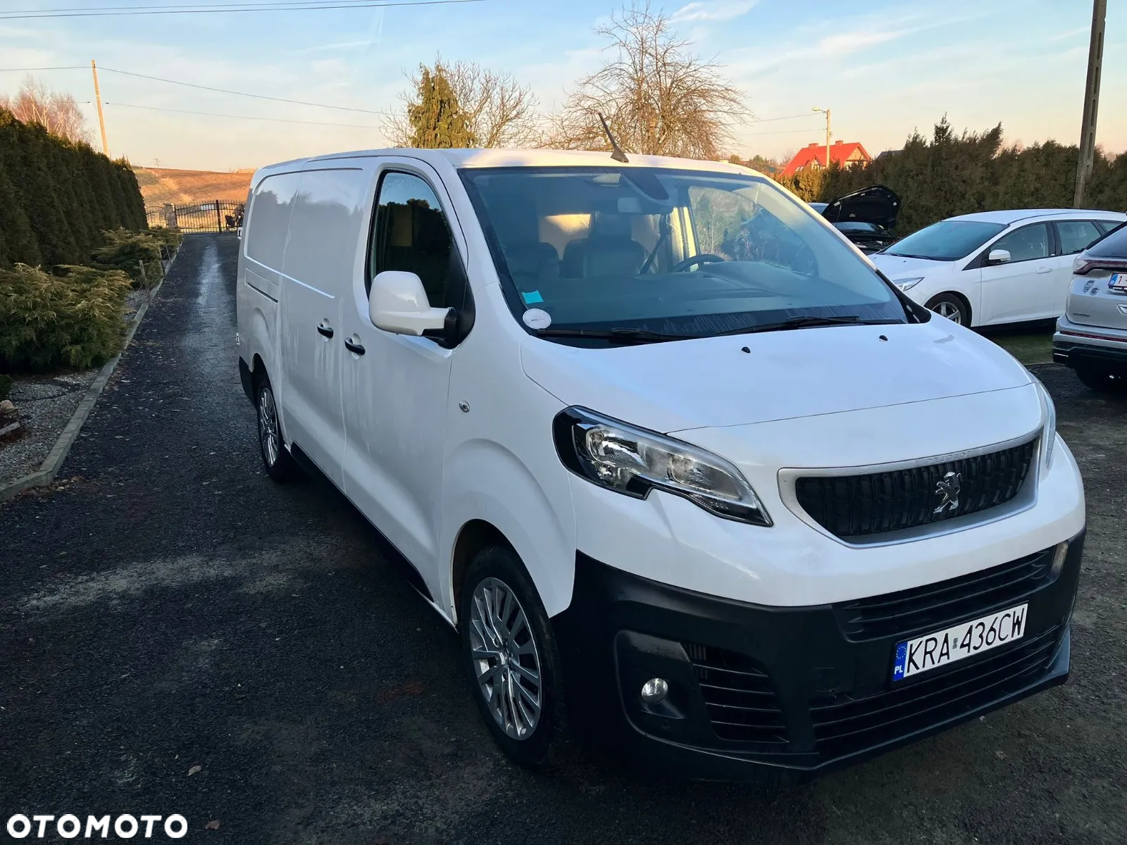 Peugeot Expert - 20