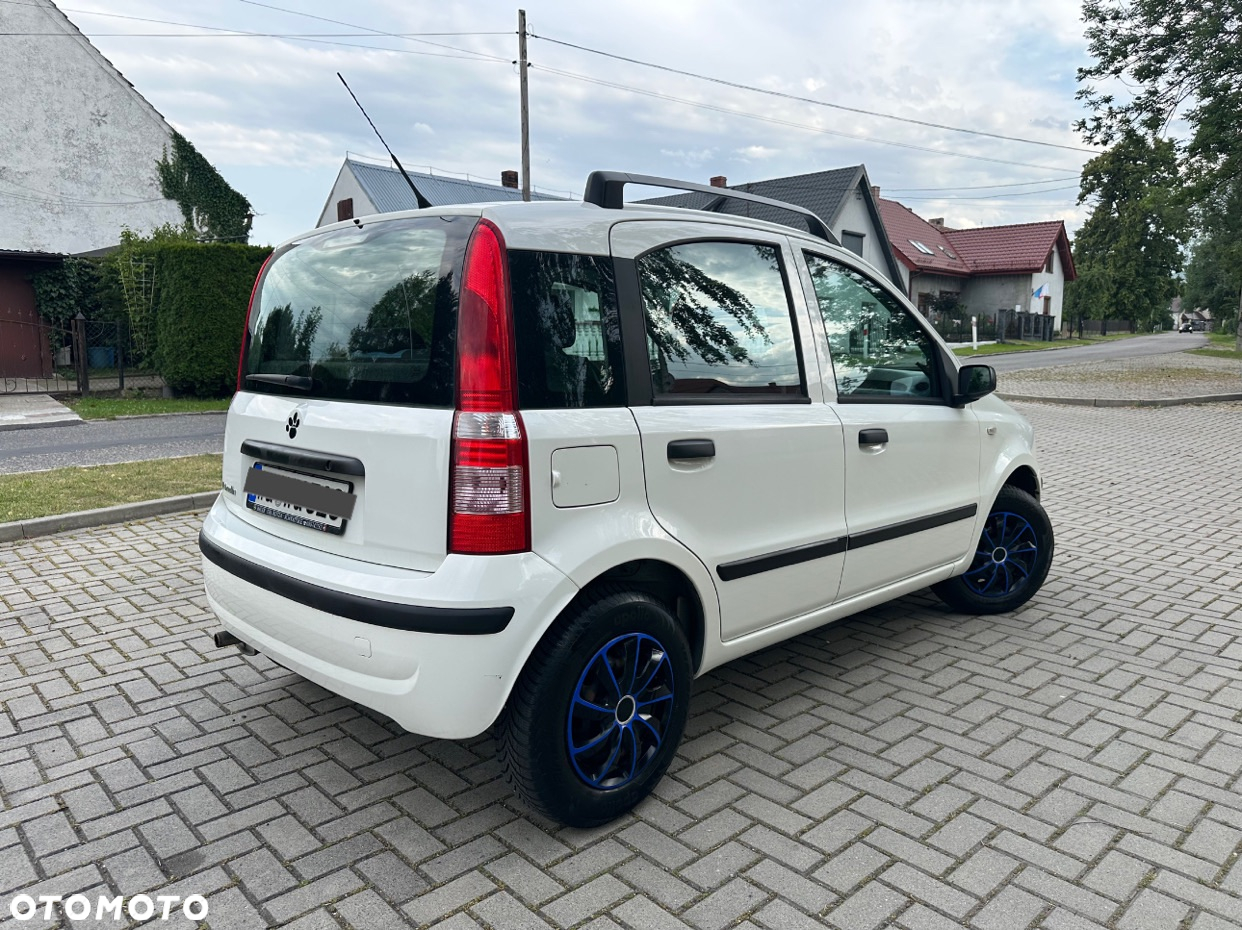 Fiat Panda 1.2 Active Eco - 4