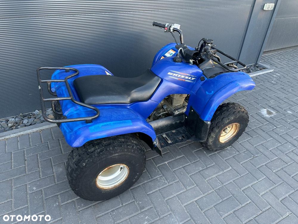 Yamaha Grizzly - 4